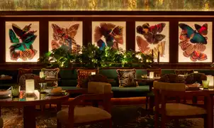 amazonico-monte-carlo